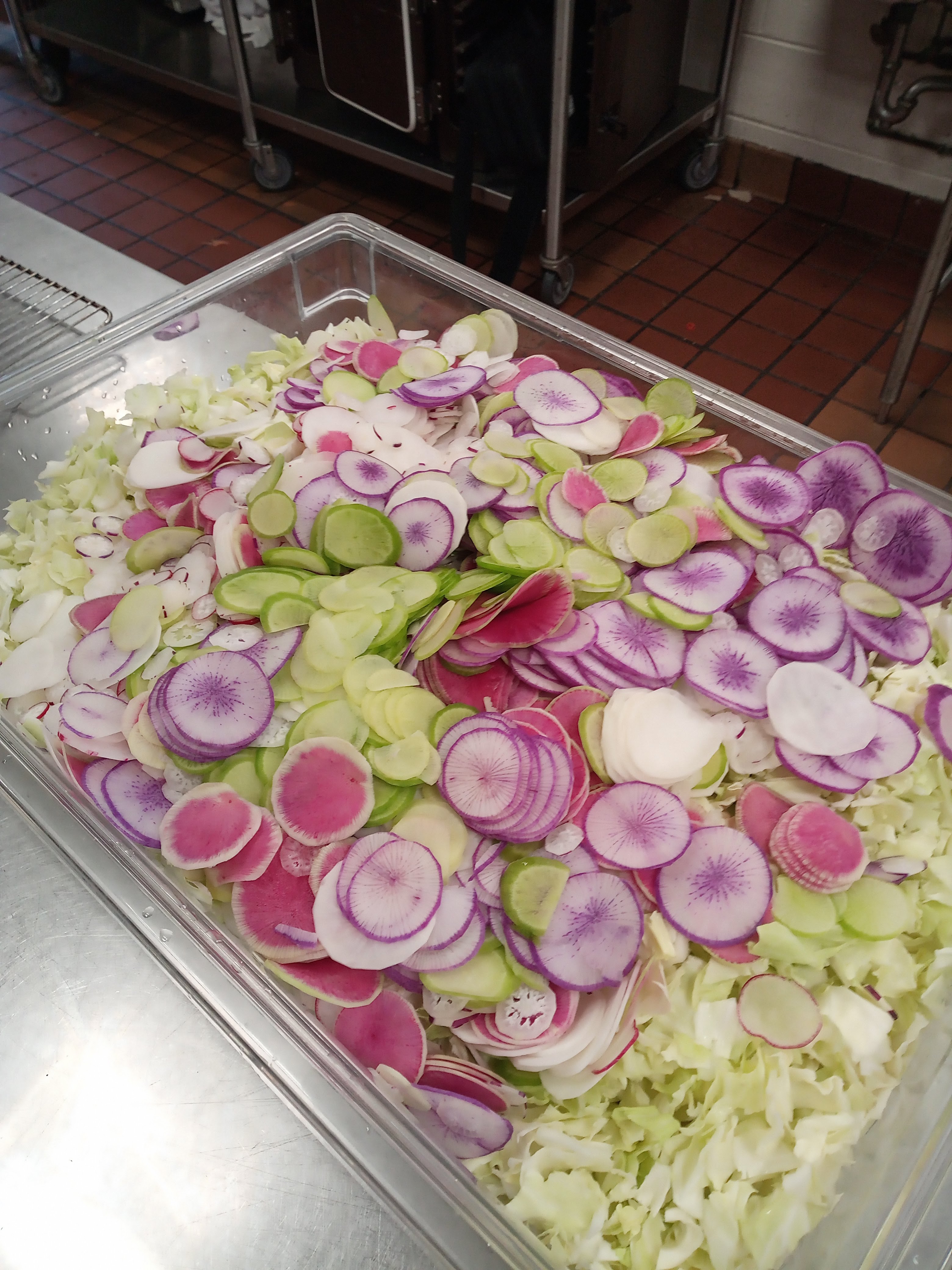 A large rectangle plastic bin filled with thinly sliced purple pink white and green radishes and chopped cabbage