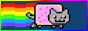 button that shows nyan cat, a gray cat with a pink poptart body, zooming across blue space leaving a rainbow trail